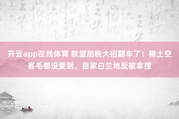 开云app在线体育 欧盟加税大招翻车了！稀土空客毛都没要到，自家白兰地反被拿捏