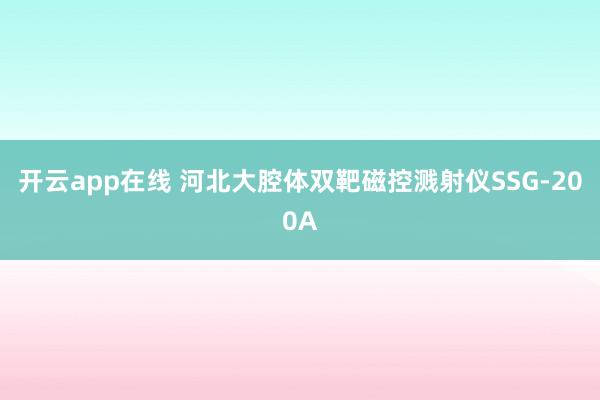 开云app在线 河北大腔体双靶磁控溅射仪SSG-200A
