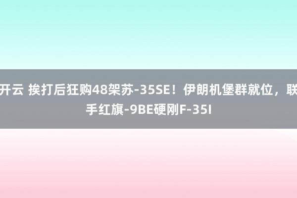 开云 挨打后狂购48架苏-35SE！伊朗机堡群就位，联手红旗-9BE硬刚F-35I