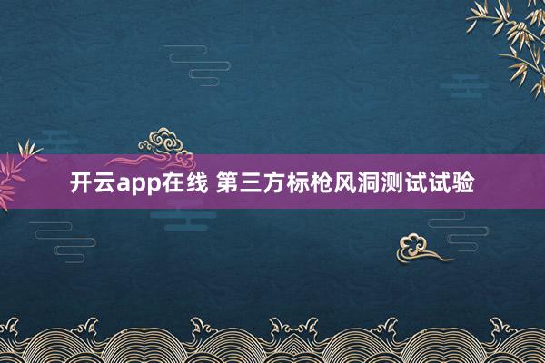 开云app在线 第三方标枪风洞测试试验