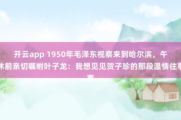 开云app 1950年毛泽东视察来到哈尔滨，午休前亲切嘱咐叶子龙：我想见见贺子珍的那段温情往事