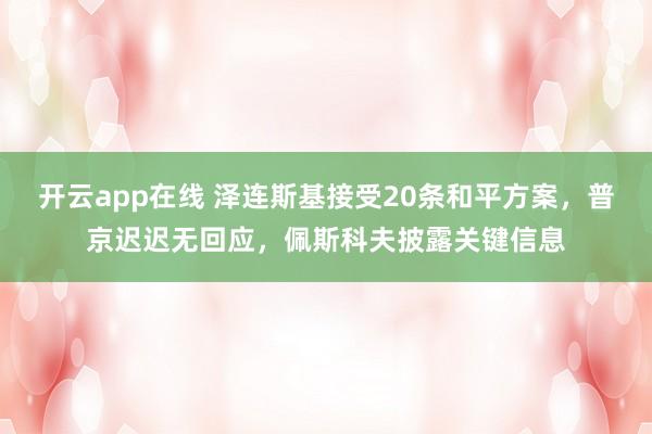 开云app在线 泽连斯基接受20条和平方案，普京迟迟无回应，佩斯科夫披露关键信息