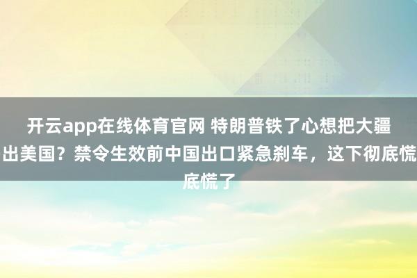 开云app在线体育官网 特朗普铁了心想把大疆踢出美国?禁令生效前中国出口紧急刹车,这下彻底慌了