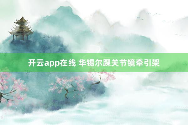 开云app在线 华锡尔踝关节镜牵引架