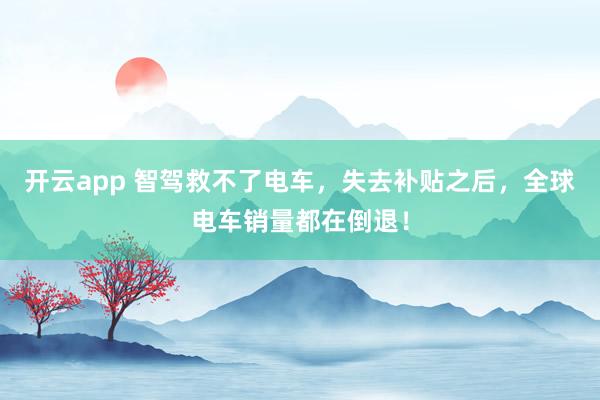 开云app 智驾救不了电车,失去补贴之后,全球电车销量都在倒退!