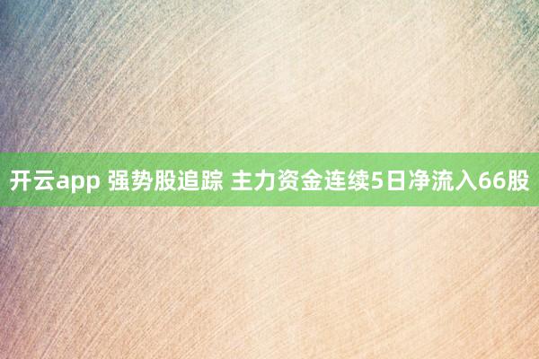 开云app 强势股追踪 主力资金连续5日净流入66股